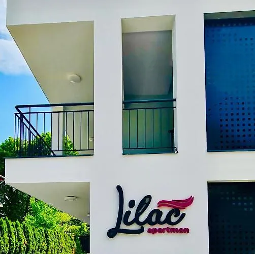 Lilac Apartment